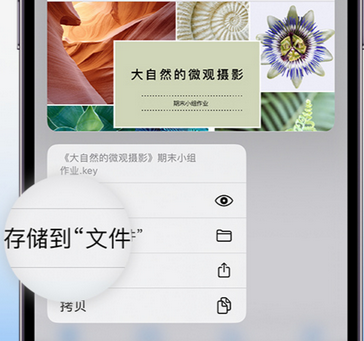 重庆apple维修中心分享iPhone文件应用中存储和找到下载文件