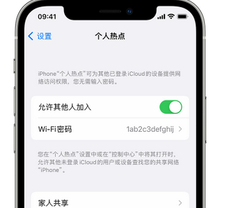 重庆apple服务站点分享iPhone上个人热点丢失了怎么办 