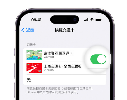 重庆apple维修点分享iPhone上更换Apple Pay快捷交通卡手绘卡面 