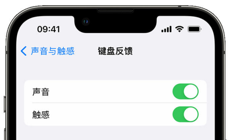 重庆苹果手机维修分享iPhone 14触感键盘使用方法 