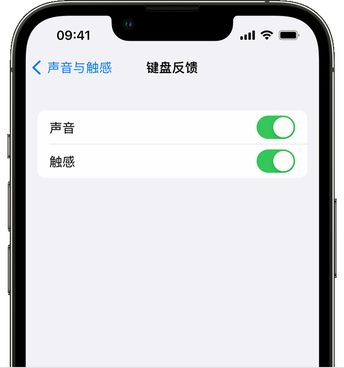 重庆苹果14维修店分享如何在 iPhone 14 机型中使用触感键盘 