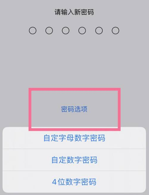 重庆苹果14维修分享iPhone 14plus设置密码的方法 