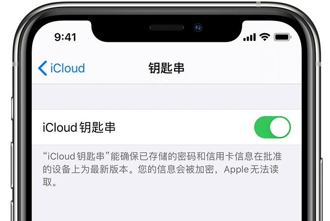 重庆苹果手机维修分享在 iPhone 上开启 iCloud 钥匙串之后会储存哪些信息 