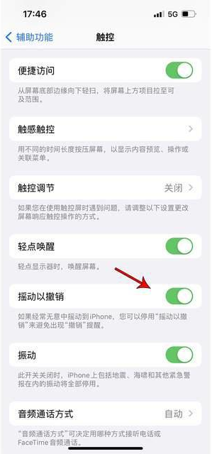 重庆苹果手机维修分享iPhone手机如何设置摇一摇删除文字 
